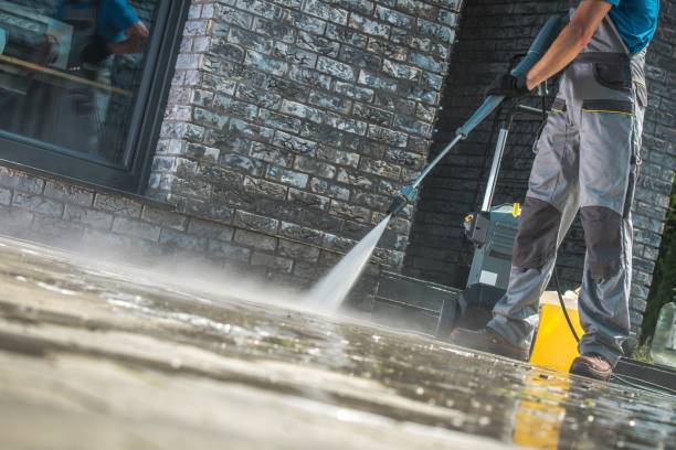 Best Animal Enclosure Cleaning  in Gueydan, LA